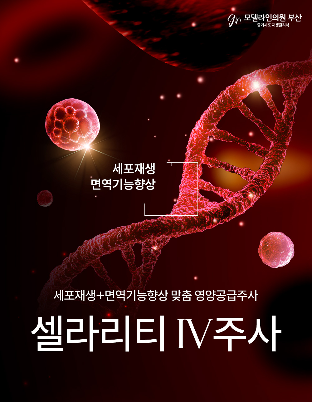 셀라리티 줄기세포 IV 정맥주사 EVENT